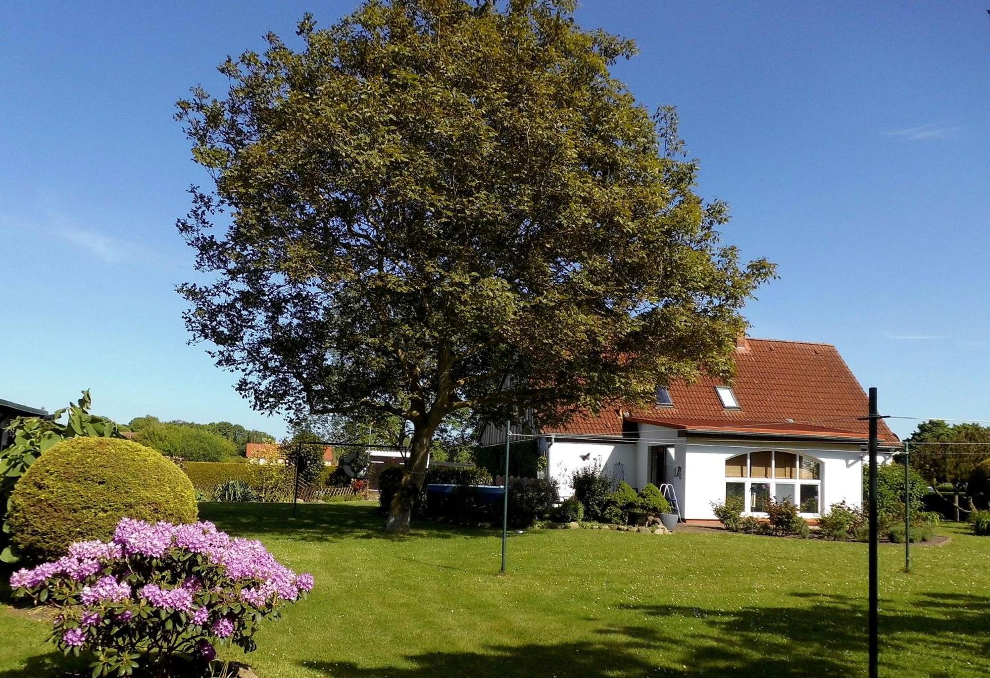 Bungalow Und Ferienwohnung Auf Ruegen Kluis ภายนอก รูปภาพ